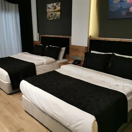 Hotel Rose Bay